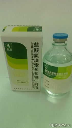 氨溴索注射液_环球医药网产品搜索